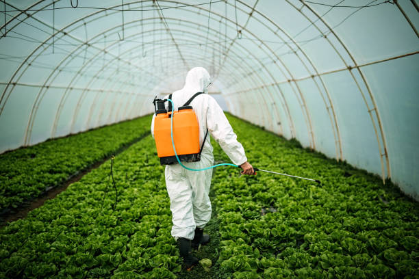 Best Commercial Pest Control Services  in Westlake, TX