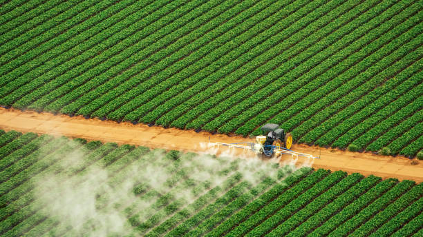 Reliable Westlake, TX Pest Control Solutions
