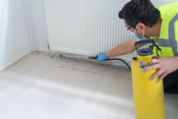 Wasp Removal Services in Westlake, TX